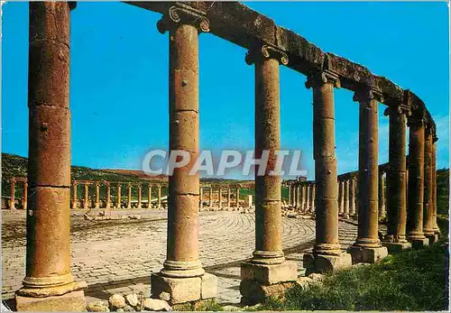 Cartes postales moderne The Forum of Jerash