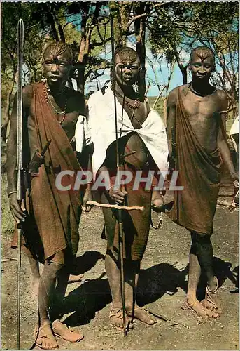 Cartes postales moderne Masai warriors