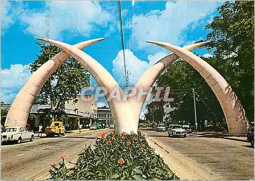 Cartes postales moderne Giant Tusks Mombasa Ivoire Elephant