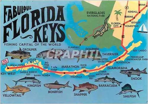 Cartes postales moderne Fabilous Florida Keys Crocodile Poissons