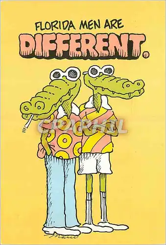 Cartes postales moderne Florida Men are Different Crocodile