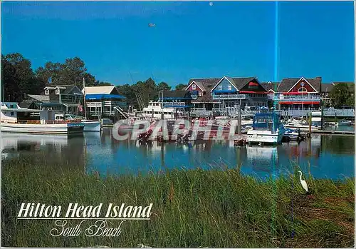 Cartes postales moderne Hilton Head Island South Beach Carolina