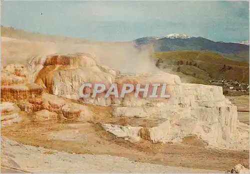 Cartes postales moderne Minerva Terrace Yollowstone National Park