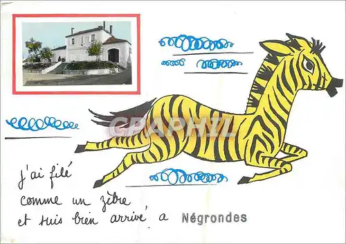 Cartes postales moderne J'ai file comme un zebre Zebra Negrondes