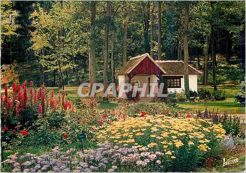 Cartes postales moderne Les merveilles du val de Loire Olivet (Loiret) le parc florel de la source