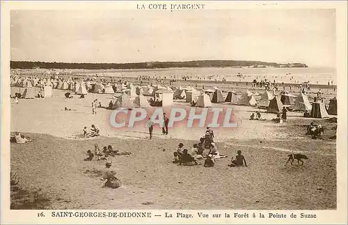 Cartes postales Saint Georges de Didonne La Plage Vue sur la Foret a la Pointe de Suzac