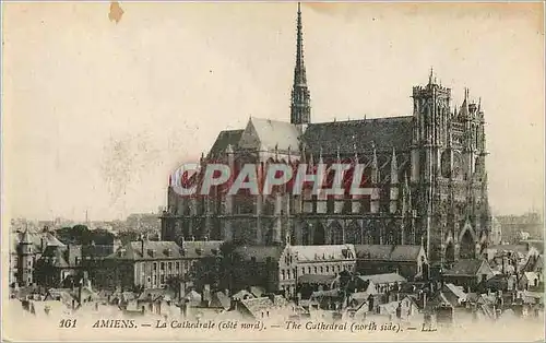 Cartes postales Amiens La Cathedrale cote nord