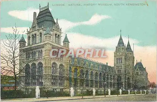 Cartes postales London Natural History Museum South Kensington