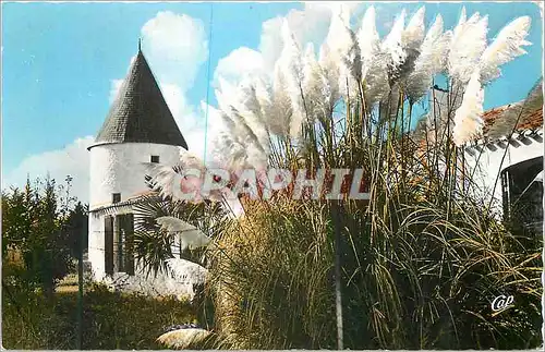 Cartes postales moderne Saint-Pierre-d'Oleron (Ile d'Oleron) Le Moulin du Coivre