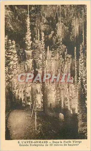 Cartes postales l'Aven Armand dans la Foret Vierge Grande Stalagmite de 30 Metres de Hauteur