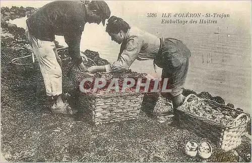 REPRO Ile d'Oleron Saint Trojan Emballage des Huitres Ostreiculture