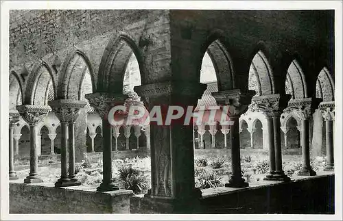 Cartes postales moderne Moissac Interieur du Cloitre