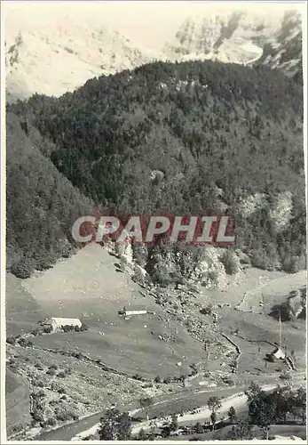 Photo Sous la vegetation a Gavarnie