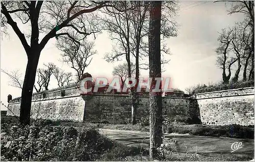 Cartes postales moderne Brouage un Aspect des Vieux Remparts