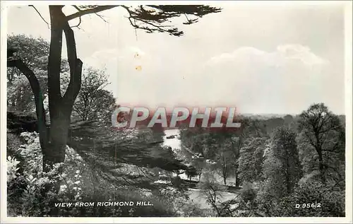 Cartes postales moderne View from Richmond Hill