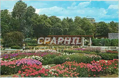 Cartes postales moderne Montreal PQ Canada Le Jardin Botanique