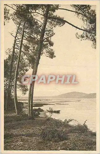 Cartes postales La Douce France Les Landes de Gascogne L'Etang d'Hossegor Pres de Capbreton