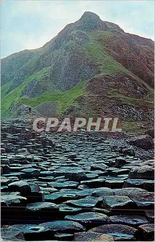 Cartes postales moderne Giant's Causeway Co Antrim Northern Ireland