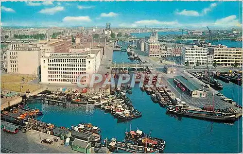 Cartes postales moderne Rotterdam Vue Sur le Centre de la Ville Blick auf Stadtmitte