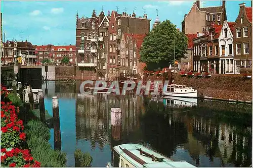 Cartes postales moderne Rotterdam Holland