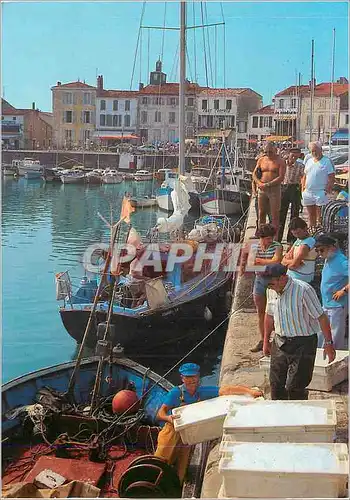 Cartes postales moderne Ile de Re (Ch Mme) La Flotte Le Port