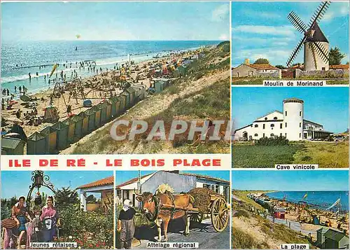 Cartes postales moderne Ile de Re (Charente Maritime) le Bois Plage Moulin de Morinand Jeunes retaises Attelage regional