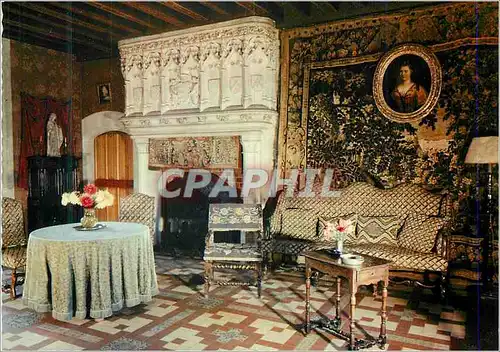 Cartes postales moderne Lassay sur Croisne Chateau du Moulin Le Salon