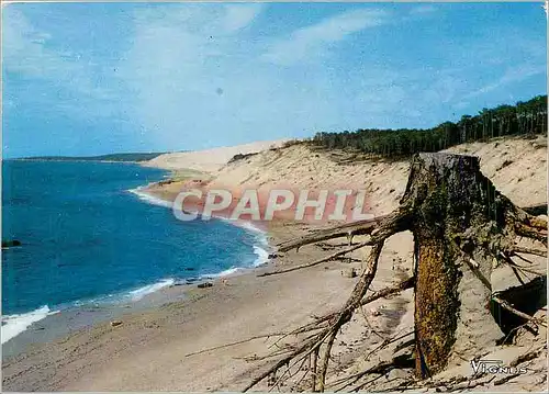 Cartes postales moderne Visage des Landes Cote d Argent Landaise