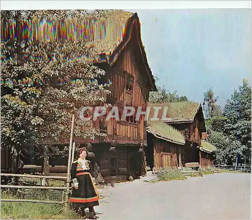 Cartes postales moderne Norsk Folkemuseum Oslo Vieille Ferme de Setesdal