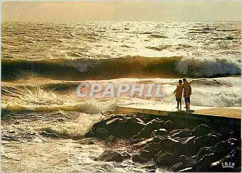 Cartes postales moderne Rever Seul en Silence et Regardant La Mer