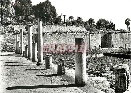 Cartes postales Vaison la romaine (vaucluse) 5243 le portique de pompee