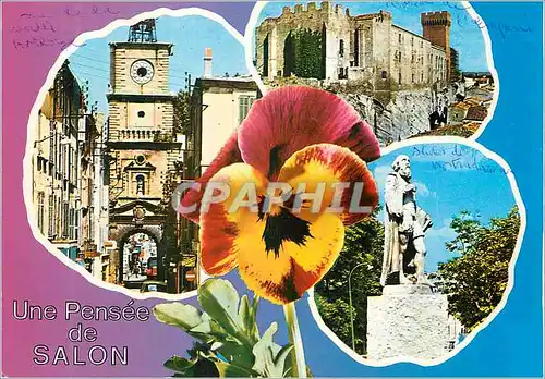 Cartes postales moderne Une pensee de salon en provence