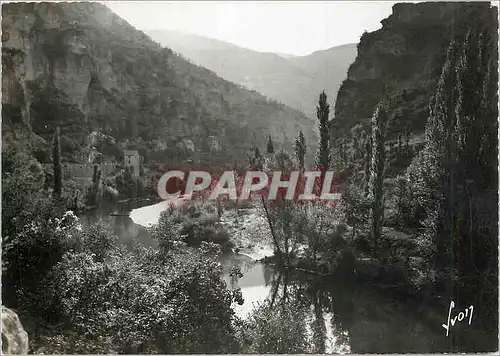 Cartes postales moderne Gorges du tarn pougnadoires (lozere) les rives du tarn