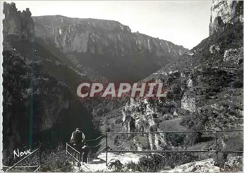 Cartes postales moderne 0690 vallee de la jonte (lozere)