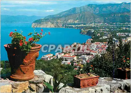 Cartes postales moderne Sorrento panorama vue generale