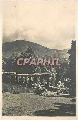 Cartes postales moderne 38 baden baden pres de la lichtenlaler allee