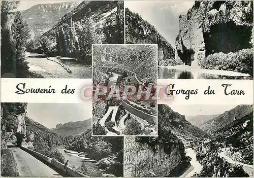 Cartes postales moderne Souvenir des Gorges du Tarn