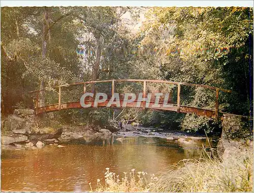 Cartes postales moderne Avallon Yonne Le pont des gardes sur le Cousin