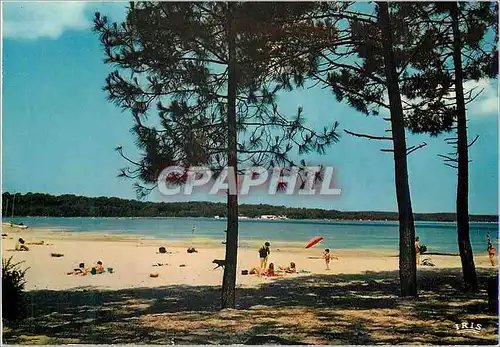 Cartes postales moderne Biscarrosse Landes Le Lac La Plage de Navarosse