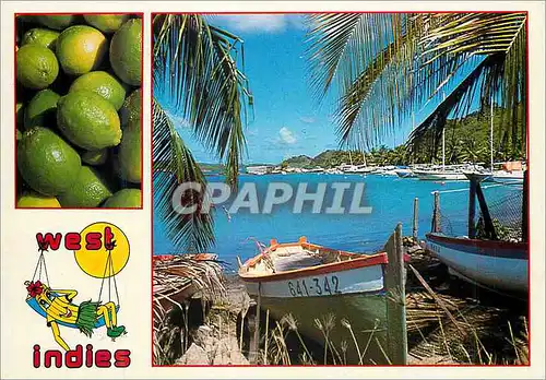 Cartes postales moderne Antilles West Indies