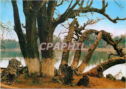 Cartes postales moderne Ha Noi Au Bord du Lac de Hoan Kiem