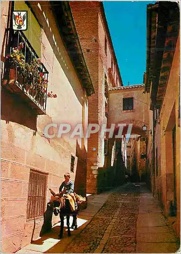 Cartes postales moderne Toledo Rue Typique Ane Donkey