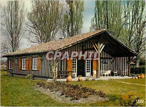 Cartes postales moderne Maison Landaise