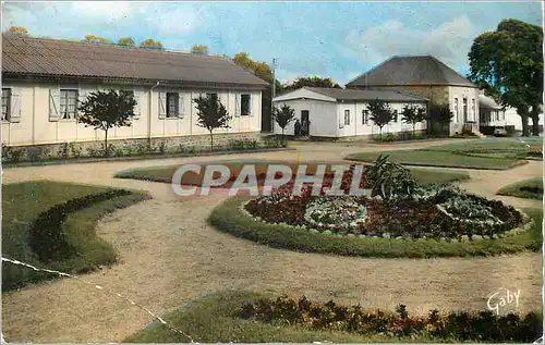 Cartes postales moderne La Ferte Mace (Orne) L'Etablissement de Cures et les Jardins