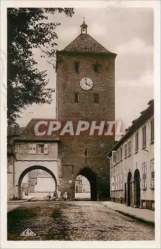 Cartes postales moderne 61 haguenau la porte des chevaliers