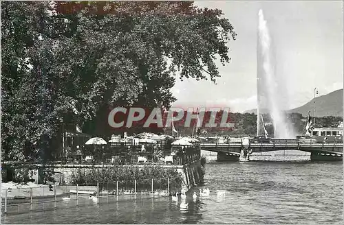 Cartes postales moderne Cafe Glacier de l'Ile Rousseau Rolfo