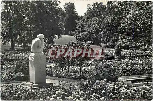 Cartes postales moderne 7295 geneve parc de la grange la roseraie