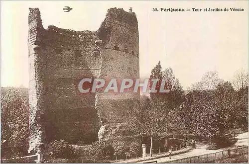 Cartes postales 50 perigueux tour et jardins de vesone