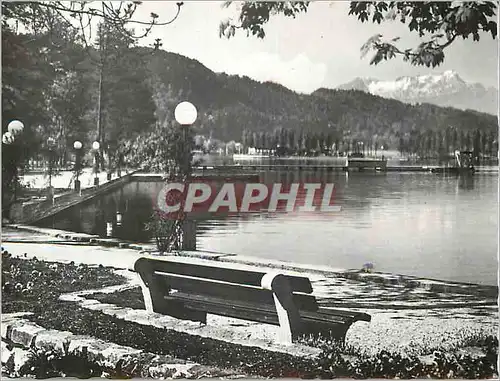 Cartes postales moderne Kurort Portschach am Worthersee Blumenstrand