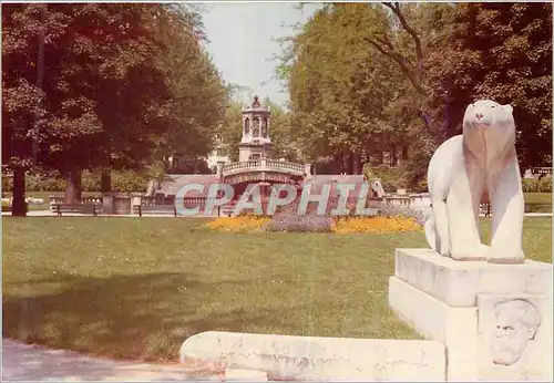 Photo Dijon Square Darcy Mai 7 Ours Blanc